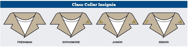 Collar by class