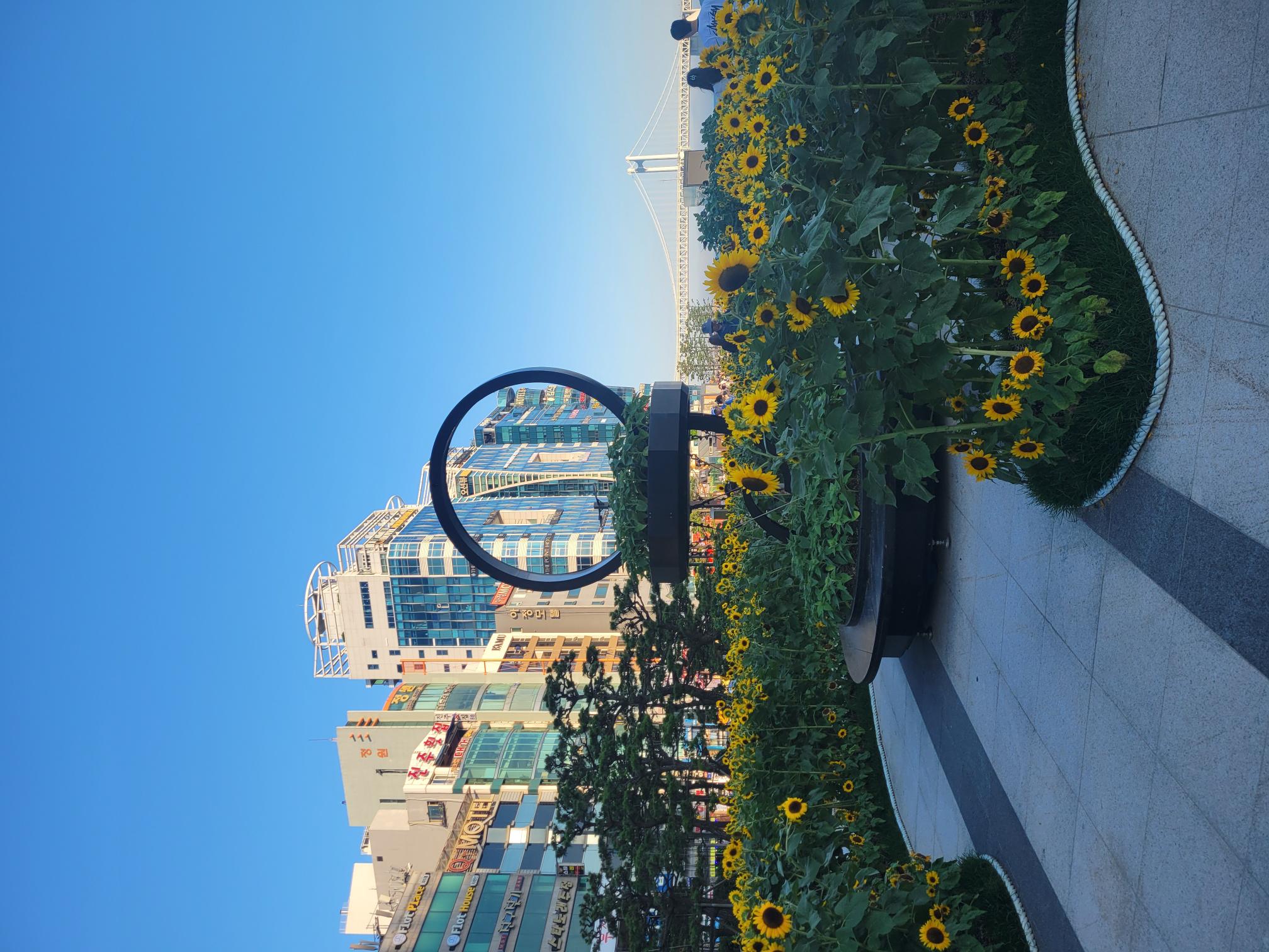 Busan Korea